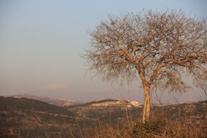 IMG 0296 1280x853 1