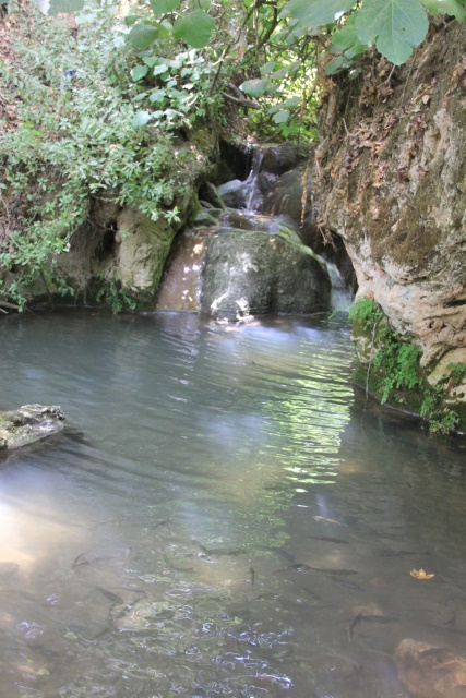 זרימה בנחל עמוד