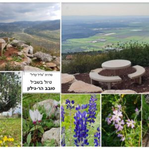 גלוית תמונות שביל סובב גילון