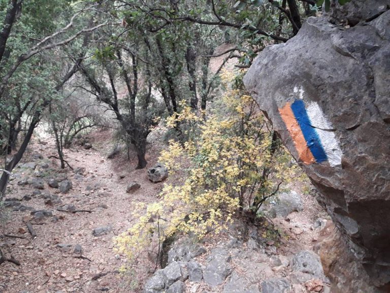 שביל ישראל4