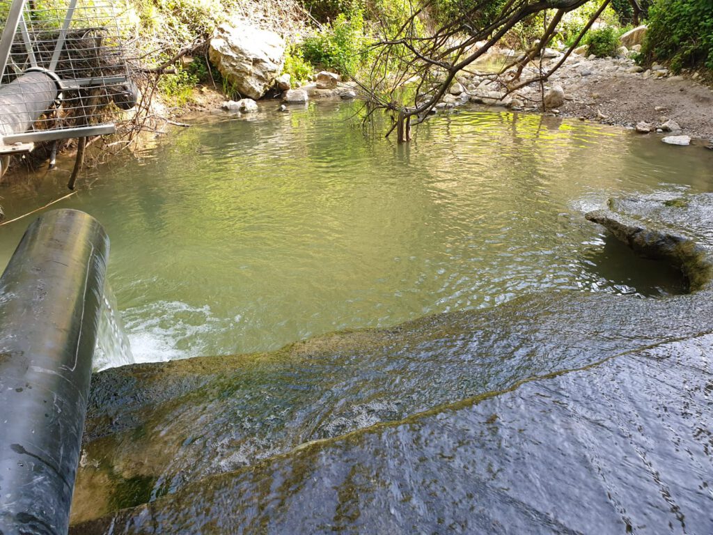 WhatsApp Image 2021 08 04 at 18.52.20 1