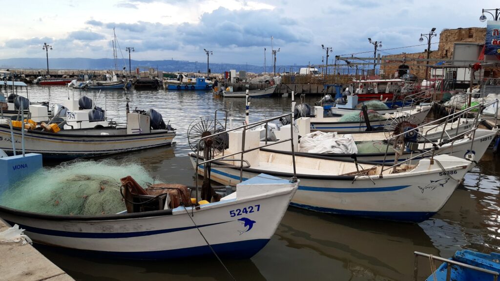 PikiWiki Israel 65650 port of acre Large