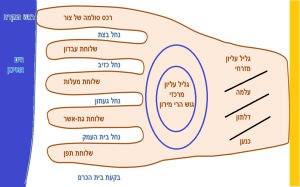 תרשים שמזכיר כף יד ומסביר את מבנה הגליל העליון
