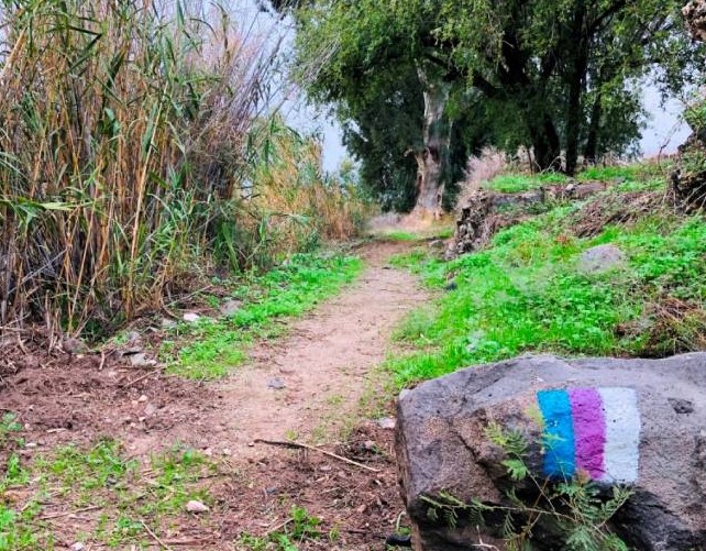 שביל סובב כנרת